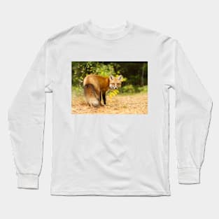 Red Fox, Algonquin Park Long Sleeve T-Shirt